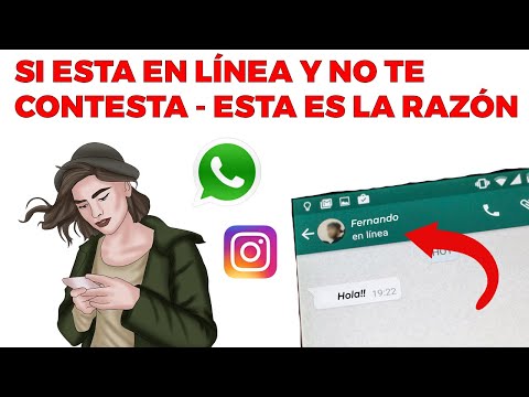 ¿Por qué ignora mis mensajes estando en línea? Descubre la razón aquí ¿Por qué ignora mis mensajes estando en línea? Descubre la razón aquí