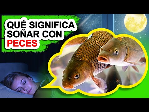 Descubre el misterio: ¿Qué significa soñar con peces feos? Descubre el misterio: ¿Qué significa soñar con peces feos?