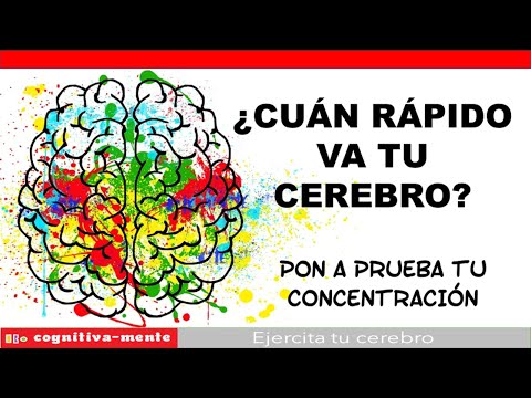 Desafía tu mente con los mejores juegos de habilidad visual para adultos Desafía tu mente con los mejores juegos de habilidad visual para adultos