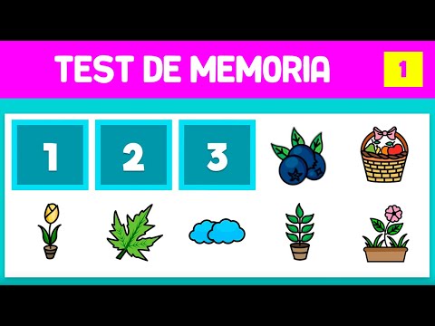 Desafía tu mente: Juegos de inteligencia espacial para adultos Desafía tu mente: Juegos de inteligencia espacial para adultos