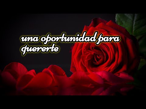 Frases de amor: Dame una oportunidad de estar contigo Frases de amor: Dame una oportunidad de estar contigo