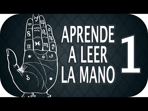 Descubre cómo los gemelos de tu mano te guían en tus primeros pasos Descubre cómo los gemelos de tu mano te guían en tus primeros pasos