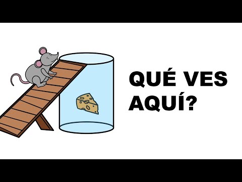 Descubre la personalidad de tu peque con este test especial Descubre la personalidad de tu peque con este test especial