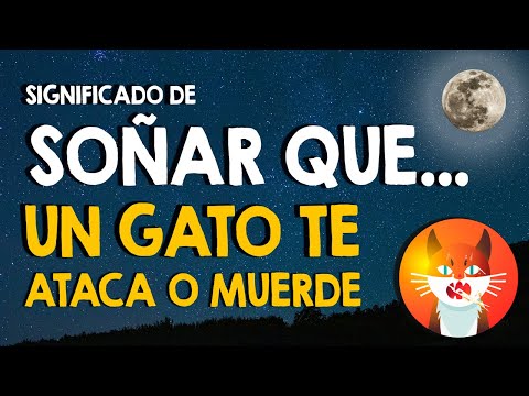 Descubre el misterio: ¿Qué significa soñar que un gato te muerde la pierna? Descubre el misterio: ¿Qué significa soñar que un gato te muerde la pierna?