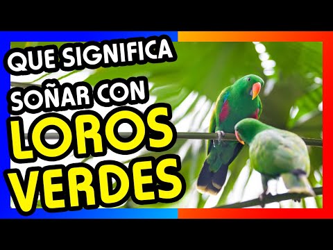 Descubre el significado de soñar con atrapar un loro verde Descubre el significado de soñar con atrapar un loro verde