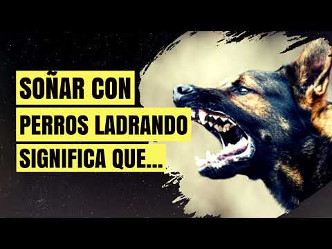 Descubre el significado de soñar con perros que te ladran Descubre el significado de soñar con perros que te ladran