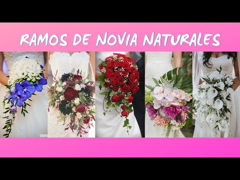 El toque perfecto: ramo de novia con hojas de olivo para tu boda El toque perfecto: ramo de novia con hojas de olivo para tu boda