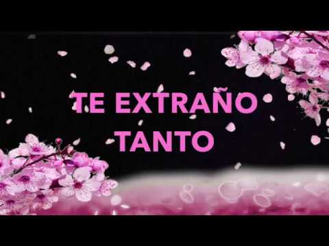 Frases para reconectar con un amigo distanciado: ¡Hazle saber que lo extrañas! Frases para reconectar con un amigo distanciado: ¡Hazle saber que lo extrañas!