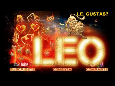Descubre cómo actúa un hombre Leo cuando le gusta una mujer Descubre cómo actúa un hombre Leo cuando le gusta una mujer