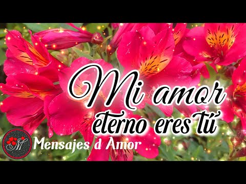 Palabras de amor eterno: textos largos de aniversario para mi novio Palabras de amor eterno: textos largos de aniversario para mi novio
