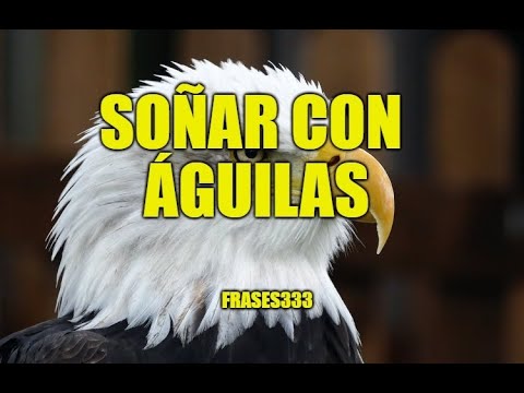 Descubre el misterioso significado de soñar con águilas volando Descubre el misterioso significado de soñar con águilas volando