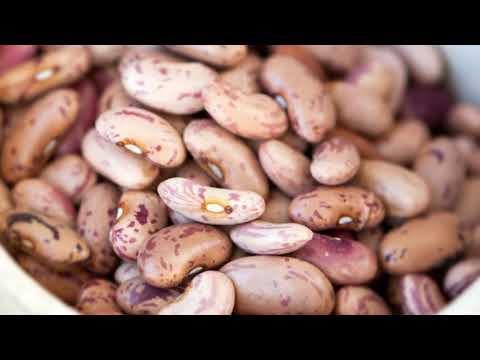 Descubre el misterioso significado de soñar con frijoles cocidos Descubre el misterioso significado de soñar con frijoles cocidos