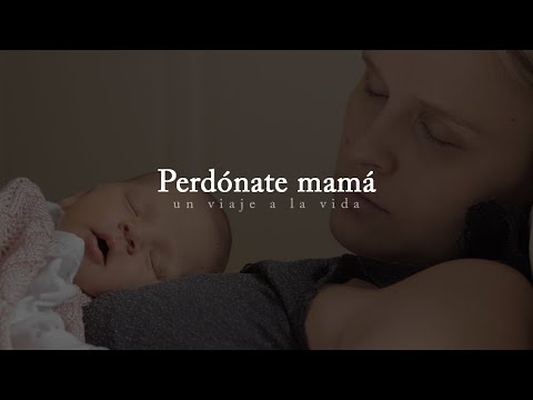 Perdón, no soy la madre perfecta: Aceptando la realidad con amor Perdón, no soy la madre perfecta: Aceptando la realidad con amor