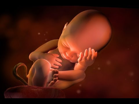 Descubre el significado de soñar con un feto muerto Descubre el significado de soñar con un feto muerto