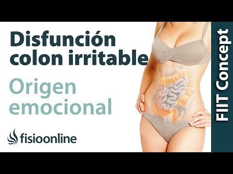 Descubre la eficaz terapia cognitivo conductual para el síndrome del intestino irritable Descubre la eficaz terapia cognitivo conductual para el síndrome del intestino irritable