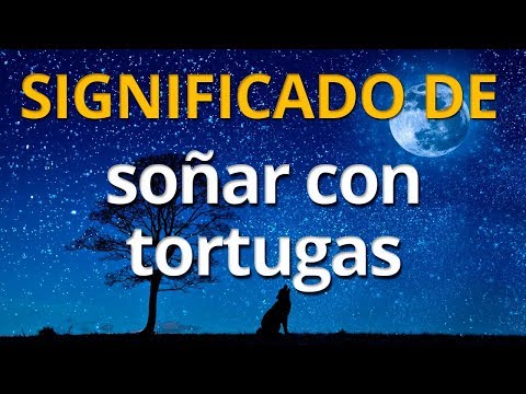La interpretación de soñar con tortugas según la biblia: significado revelado La interpretación de soñar con tortugas según la biblia: significado revelado
