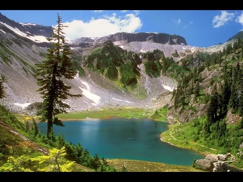 Descubre el misterio: ¿Qué significa soñar con un lago verde? Descubre el misterio: ¿Qué significa soñar con un lago verde?