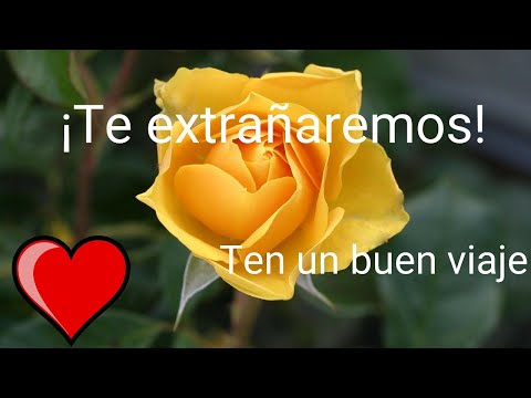 Carta de despedida: Buen viaje amor, te voy a extrañar Carta de despedida: Buen viaje amor, te voy a extrañar