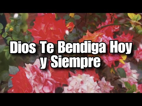 ¡Dios te bendiga hoy y siempre, mi amor! 🙏❤️ ¡Dios te bendiga hoy y siempre, mi amor! 🙏❤️