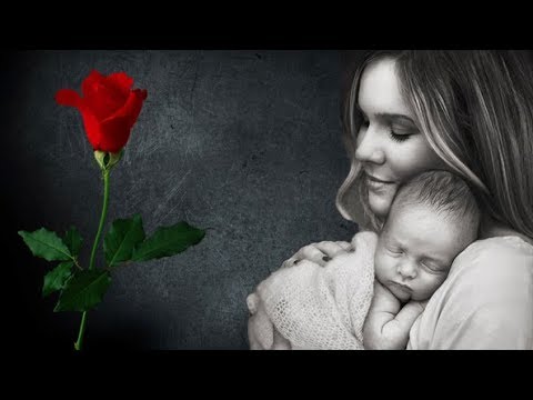 ¡Feliz Día de la Madre a Mi Compañera de Vida! ¡Feliz Día de la Madre a Mi Compañera de Vida!