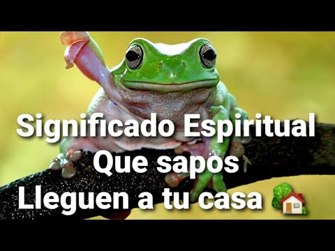 Descubre el misterio: ¿Qué significan los sapos en la Biblia? Descubre el misterio: ¿Qué significan los sapos en la Biblia?