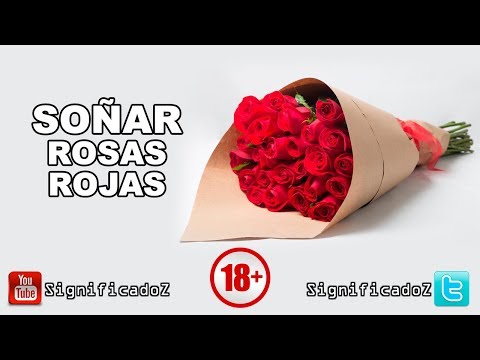 Descubre el significado de soñar con muchas rosas rojas Descubre el significado de soñar con muchas rosas rojas