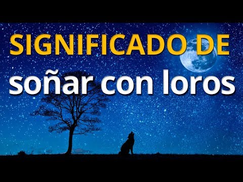 Descubre el significado de soñar con un perico verde Descubre el significado de soñar con un perico verde