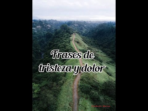 Frases para expresar el dolor de extrañar a tu ex: emociones en palabras Frases para expresar el dolor de extrañar a tu ex: emociones en palabras