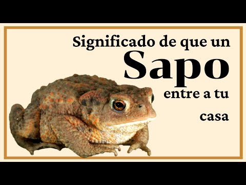 Descubre el Verdadero Significado de Tener un Sapo en Casa Descubre el Verdadero Significado de Tener un Sapo en Casa