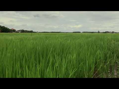 Sueños con viento fuerte: ¿Qué significa soñar fuera de casa? Sueños con viento fuerte: ¿Qué significa soñar fuera de casa?