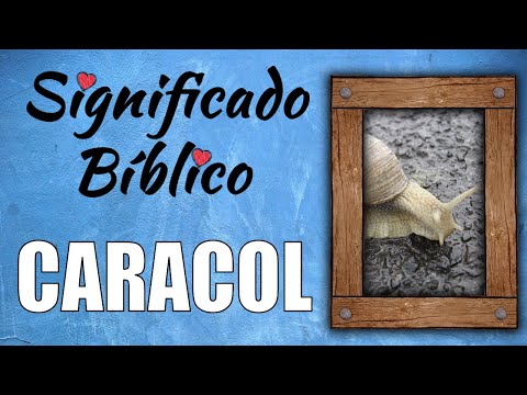 Descubre el misterio: ¿Qué significan los caracoles en la brujería? Descubre el misterio: ¿Qué significan los caracoles en la brujería?