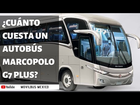 Descubre cuánto cuesta alquilar un autobús de 50 plazas y planifica tu viaje sin gastar de más Descubre cuánto cuesta alquilar un autobús de 50 plazas y planifica tu viaje sin gastar de más