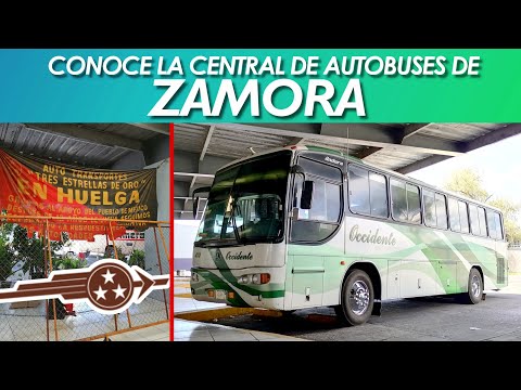Horario de autobuses de Benavente a Zamora: encuentra tu mejor opción de transporte Horario de autobuses de Benavente a Zamora: encuentra tu mejor opción de transporte