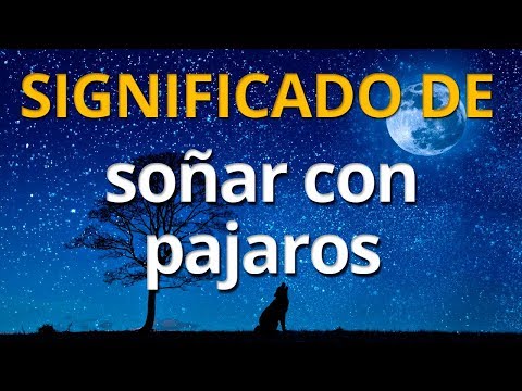 Descubre la interpretación de soñar con un pájaro rojo Descubre la interpretación de soñar con un pájaro rojo