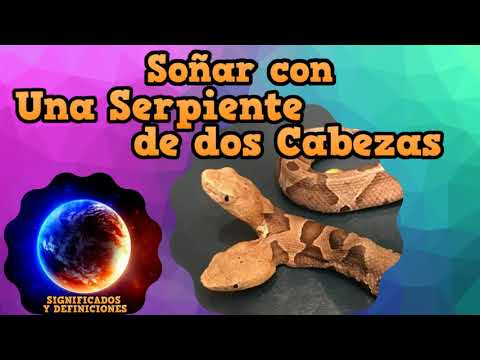 Descubre el significado de soñar con bebé de dos cabezas Descubre el significado de soñar con bebé de dos cabezas