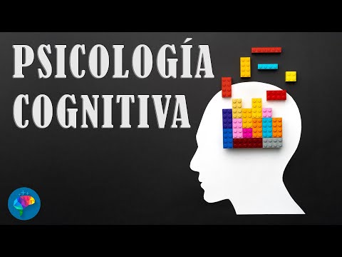 Descubre a los principales exponentes de la psicología cognitiva Descubre a los principales exponentes de la psicología cognitiva