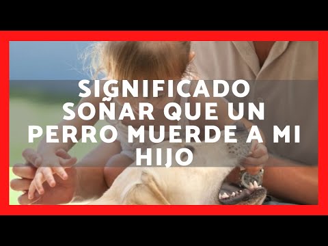 Qué significa soñar que un perro muerde a mi hijo: ¡Descúbrelo! Qué significa soñar que un perro muerde a mi hijo: ¡Descúbrelo!