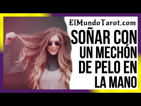 Descubre el significado de soñar con un mechón de pelo en la mano Descubre el significado de soñar con un mechón de pelo en la mano
