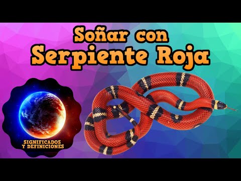 Descubre el intrigante significado de soñar con culebra roja y negra Descubre el intrigante significado de soñar con culebra roja y negra