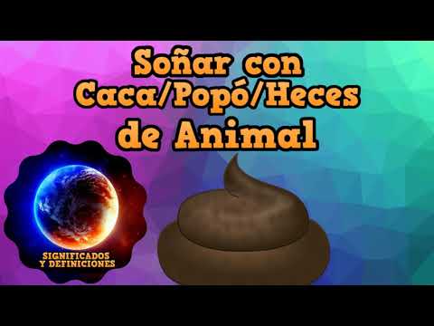 Descubre el significado de soñar con caca de rata: ¡Interpretación reveladora! Descubre el significado de soñar con caca de rata: ¡Interpretación reveladora!