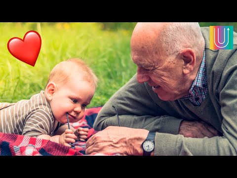 Las mejores frases de felicitaciones por el nacimiento de un nieto: ¡expresa todo tu amor! Las mejores frases de felicitaciones por el nacimiento de un nieto: ¡expresa todo tu amor!