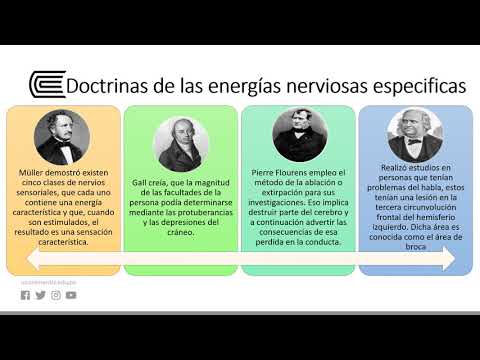 Descubre los valiosos aportes de la psicofísica a la psicología Descubre los valiosos aportes de la psicofísica a la psicología