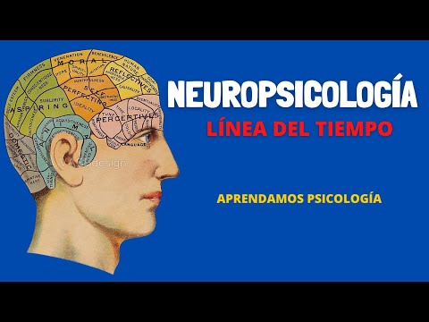 La fascinante evolución de la psicología a lo largo del tiempo La fascinante evolución de la psicología a lo largo del tiempo