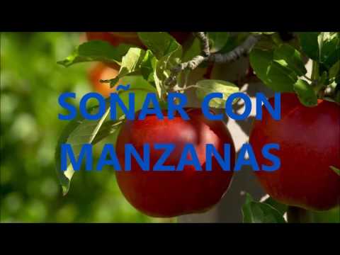 Descubre el significado de soñar con árbol de manzanas rojas Descubre el significado de soñar con árbol de manzanas rojas