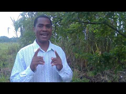 Descubre el significado bíblico de soñar con murciélagos Descubre el significado bíblico de soñar con murciélagos