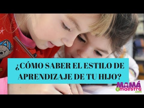 Descubre cuál es el estilo de aprendizaje de tu hijo en primaria Descubre cuál es el estilo de aprendizaje de tu hijo en primaria