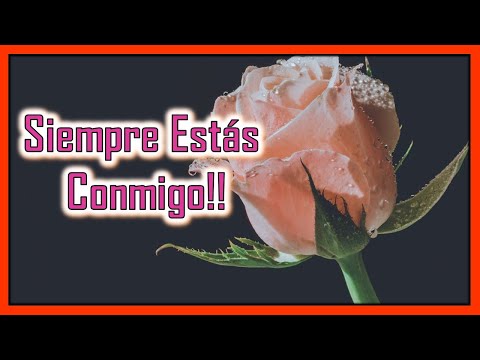 Frases emotivas para recordar a un ser querido fallecido Frases emotivas para recordar a un ser querido fallecido