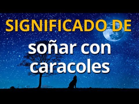Descubre el significado de soñar con caracoles pegados al cuerpo Descubre el significado de soñar con caracoles pegados al cuerpo