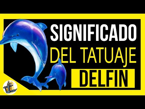 Descubre el mágico significado del delfín en el amor Descubre el mágico significado del delfín en el amor