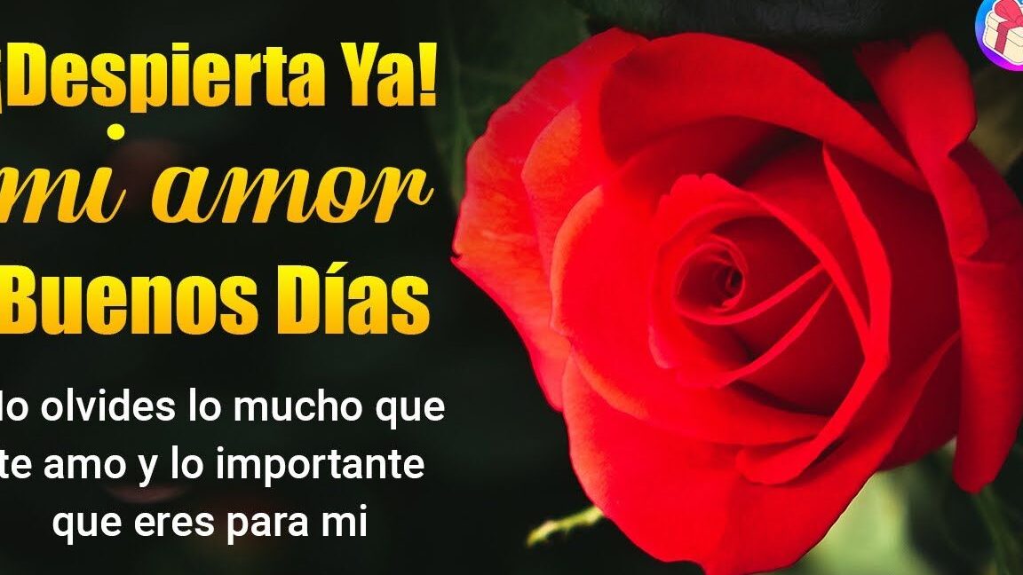 Despierta con amor: Imágenes lindas de buenos días para enamorar 1 Despierta con amor: Imágenes lindas de buenos días para enamorar
